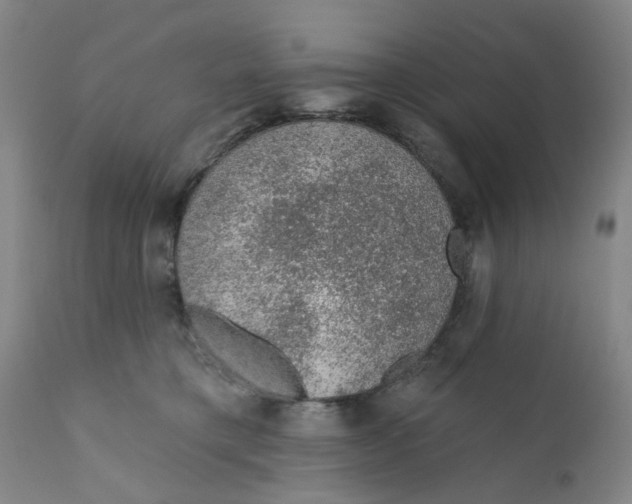 X0000112380421200909101351