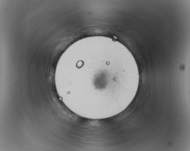 X0000112380423200909101351