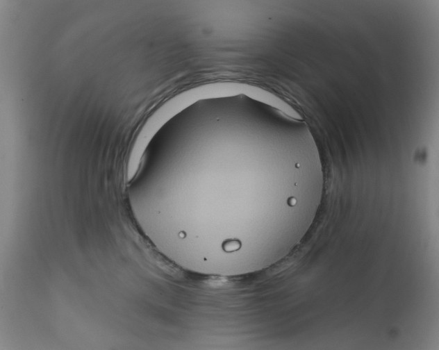 X0000112380425200909101351