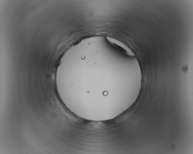 X0000112380427200909101351