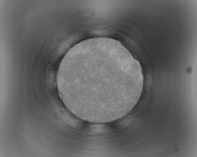 X0000112380428200909101351