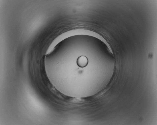 X0000112380429200909101351