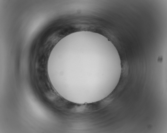 X0000112380430200909101351