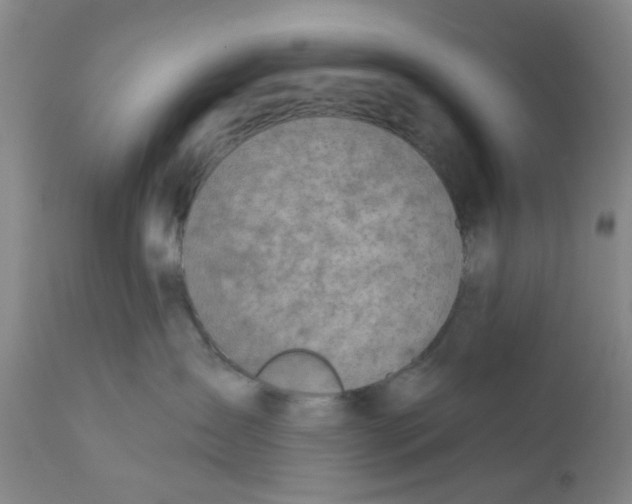 X0000112380431200909101351