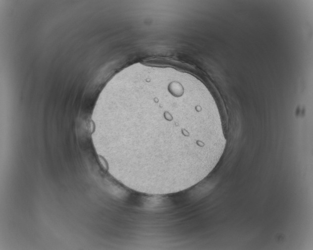 X0000112380432200909101351