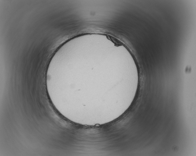 X0000112380433200909101350