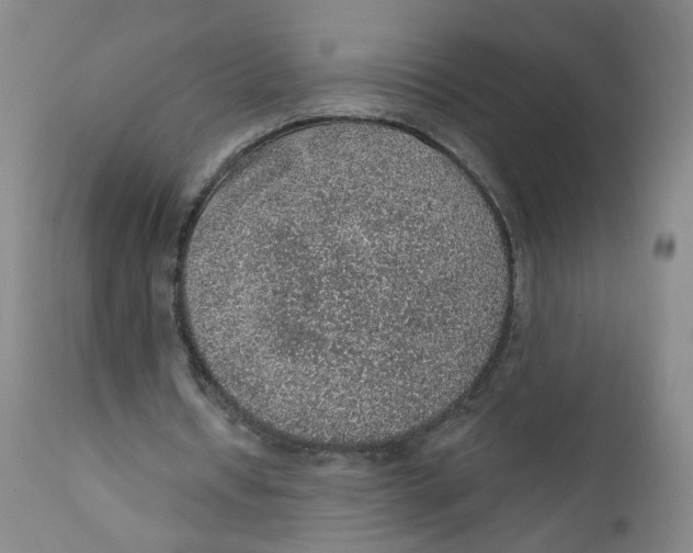 X0000112380434200909101350