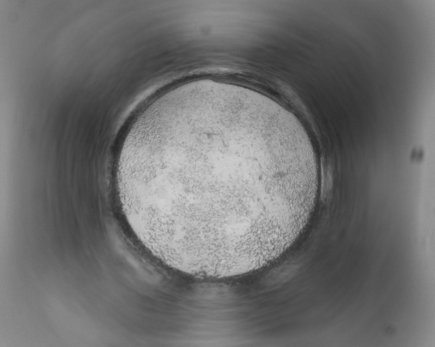 X0000112380435200909101350