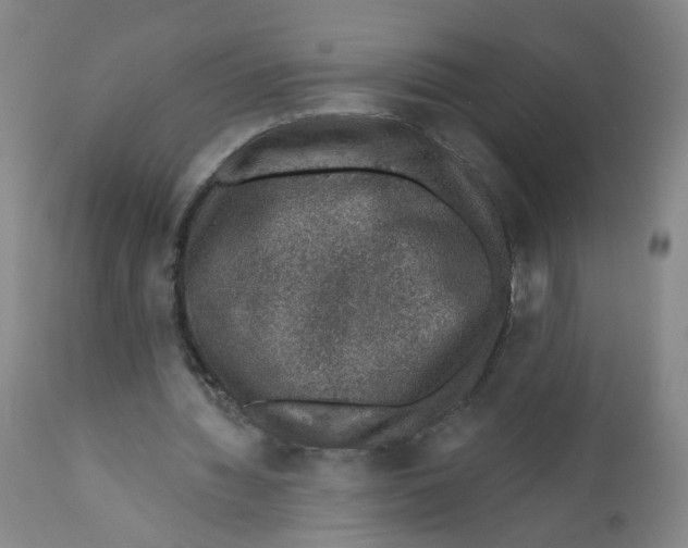 X0000112380436200909101350