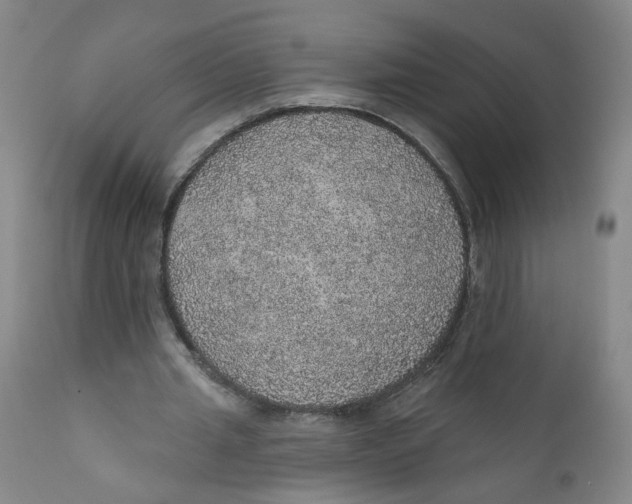 X0000112380437200909101350