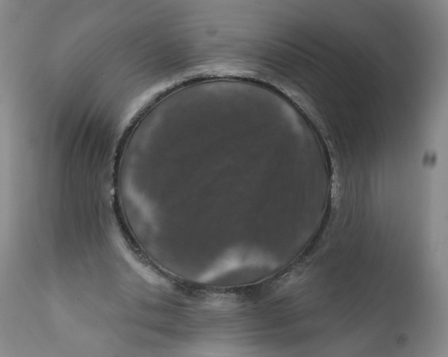 X0000112380438200909101350