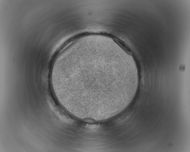 X0000112380440200909101350