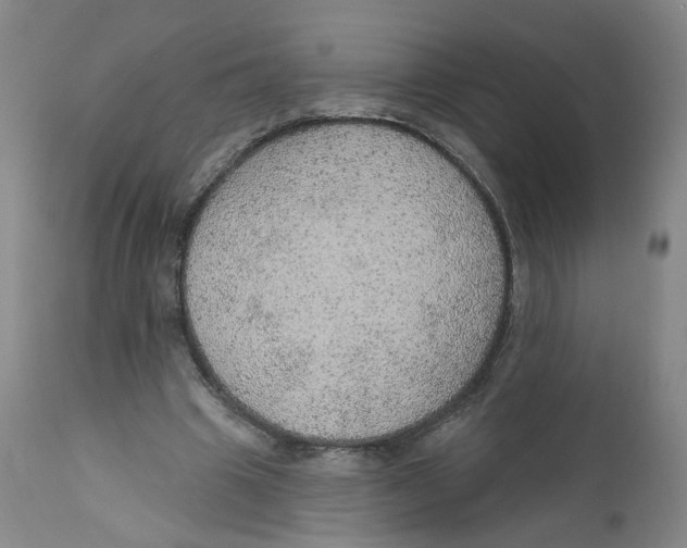 X0000112380441200909101350