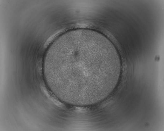 X0000112380442200909101350