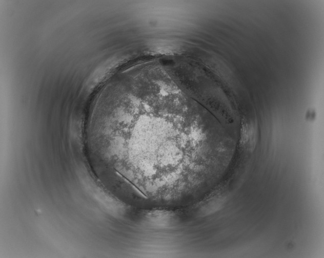 X0000112380444200909101350