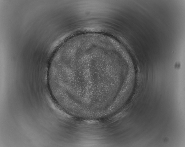 X0000112380446200909101350