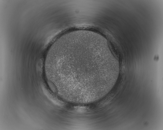 X0000112380448200909101350