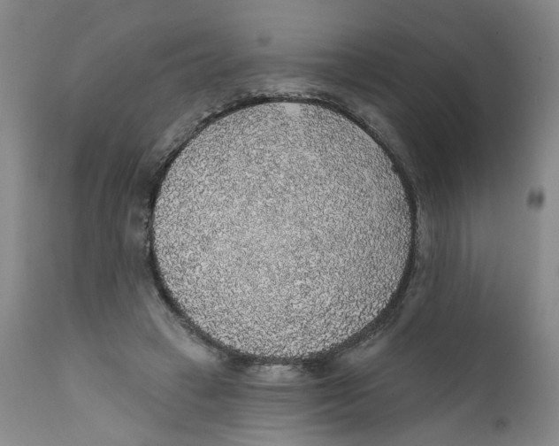 X0000112380449200909101350