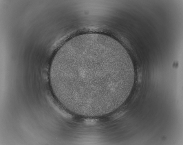 X0000112380450200909101350