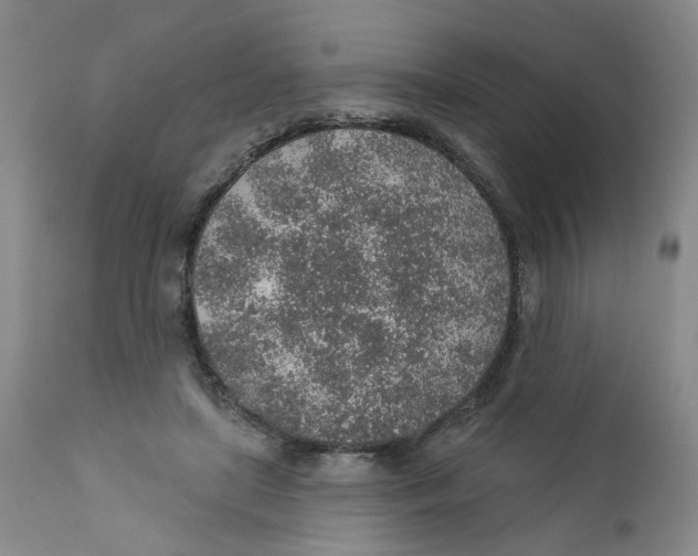 X0000112380451200909101350