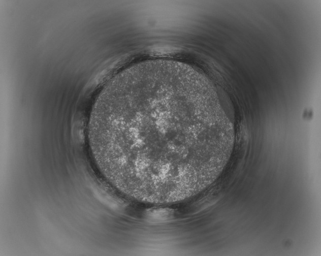 X0000112380452200909101350