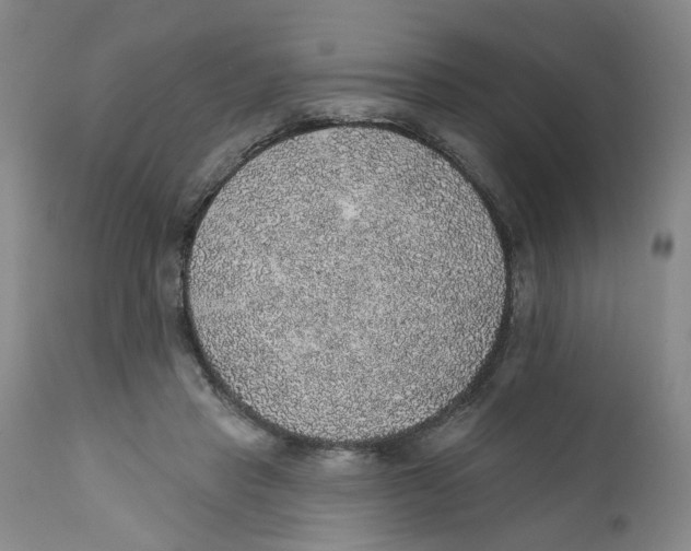 X0000112380453200909101350