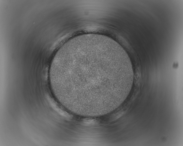 X0000112380454200909101350