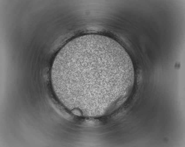 X0000112380455200909101350