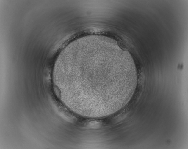 X0000112380456200909101350