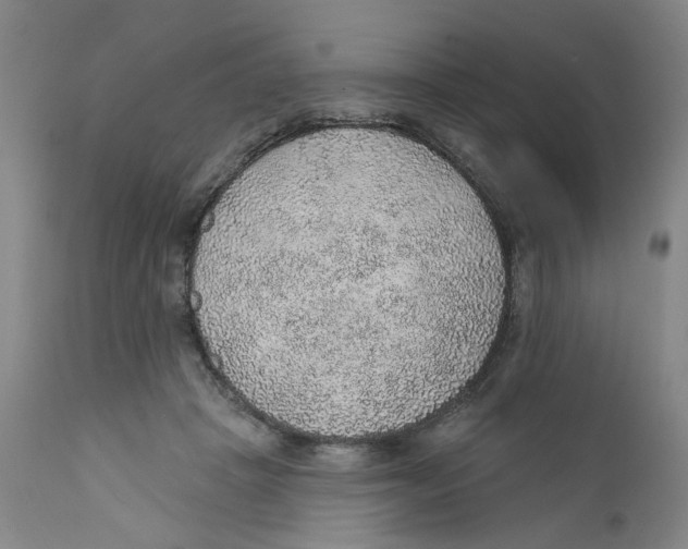 X0000112380457200909101350