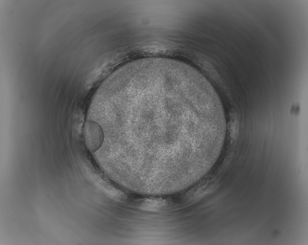 X0000112380458200909101350