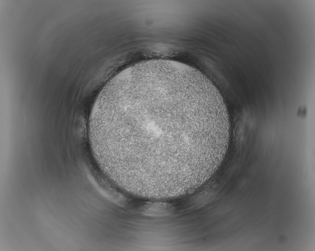 X0000112380459200909101350