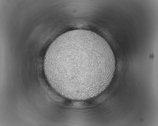 X0000112380461200909101350