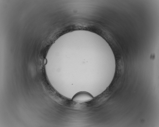 X0000112380463200909101350