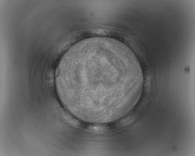 X0000112380466200909101351