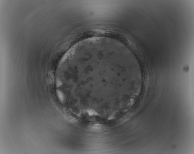 X0000112380467200909101351