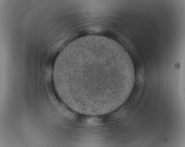 X0000112380468200909101351