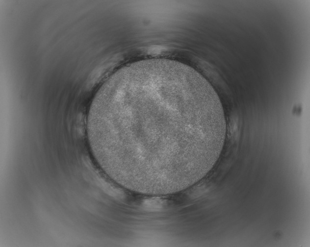 X0000112380470200909101351