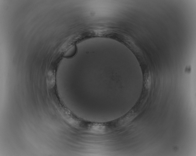 X0000112380471200909101351