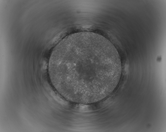 X0000112380472200909101351