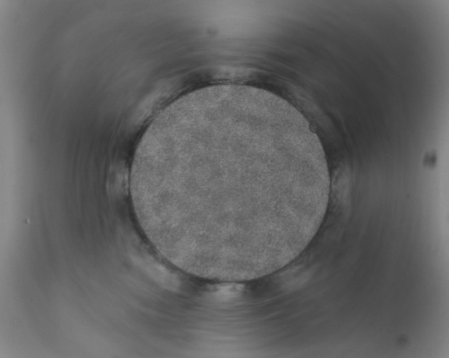 X0000112380474200909101351