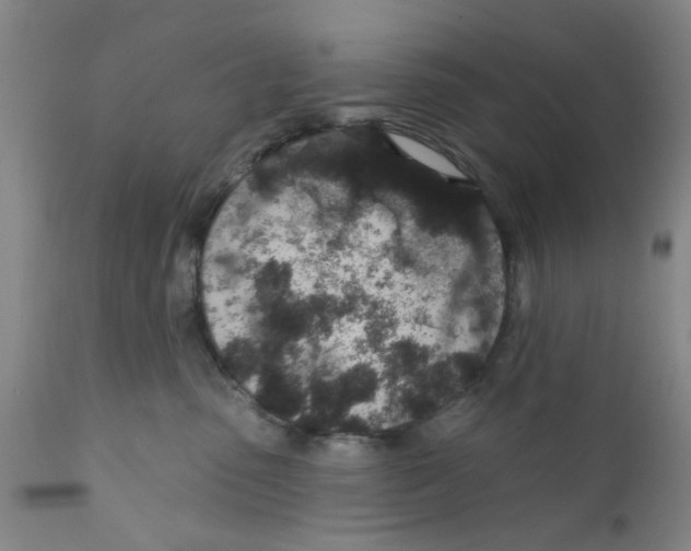 X0000112380475200909101351