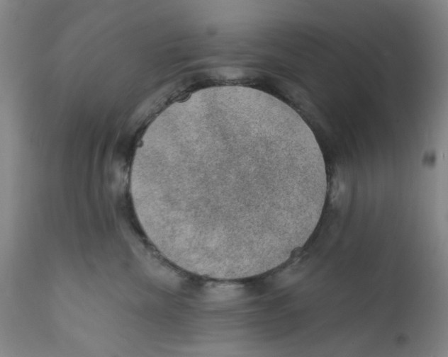 X0000112380476200909101351