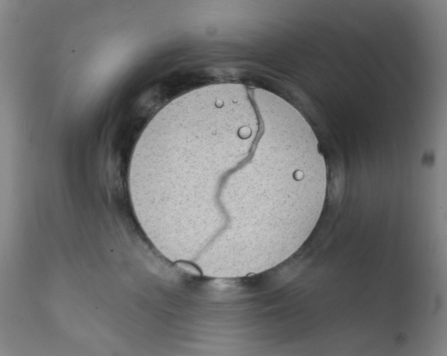 X0000112380477200909101351