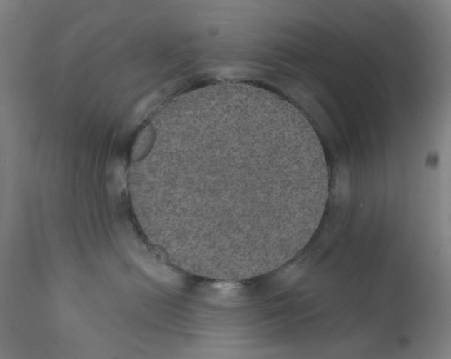 X0000112380478200909101351