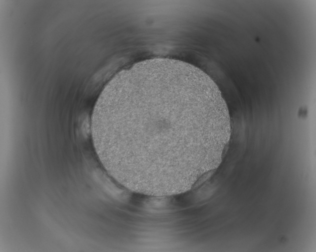 X0000112380479200909101351