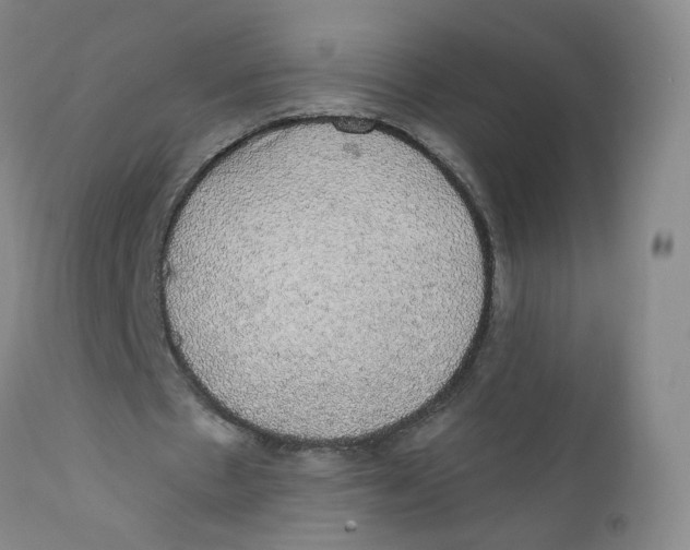 X0000112380481200909101350