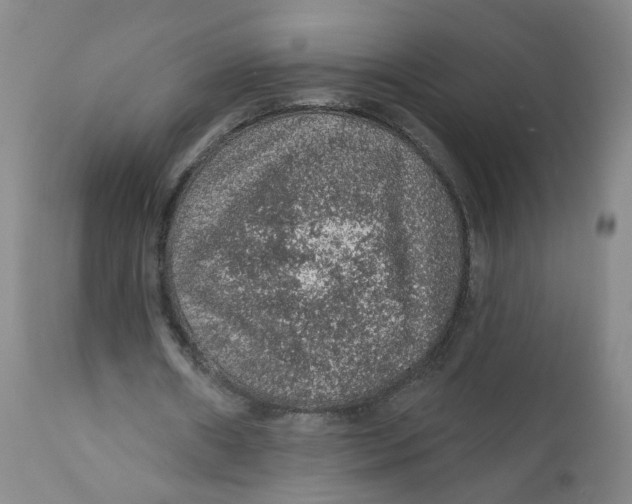 X0000112380482200909101350