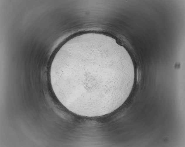 X0000112380483200909101350