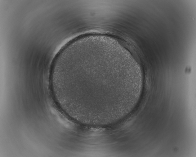 X0000112380484200909101350